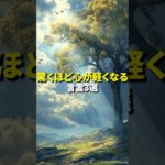 心を軽くする言霊3選 #スピリチュアル #引き寄せの法則 #開運