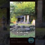 【心霊スピリチュアル①】泰山府君神社＜川口浅間神社・富士阿蘇山大神宮・泰山府君神社＞切り抜き①-5。