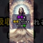 邪気を吸収してくれる5つの物 #スピリチュアル #開運 #邪気 #邪気払い #shorts