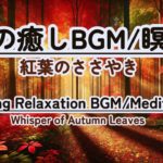 【朝の癒しBGM/瞑想】#healing  #癒しbgm #瞑想  #meditation #リフレッシュ #bgm #relaxingmusic #リラックスミュージック