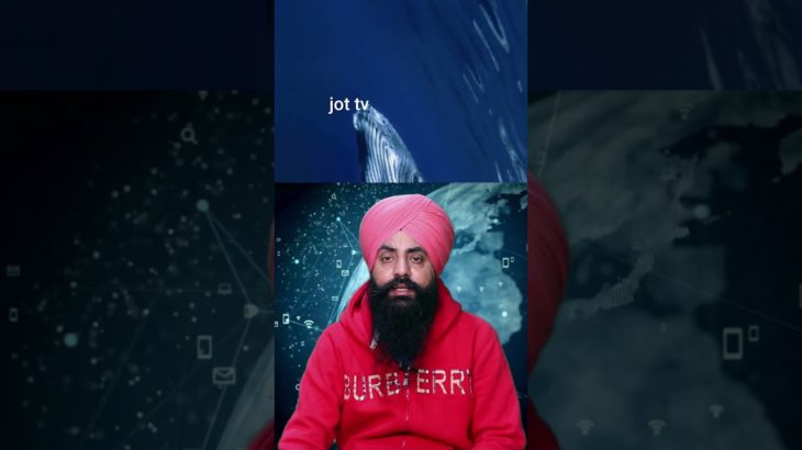 “Boost Your Wellbeing: Simple Health Hacks”#HealthTips, #Wellness, #HealthyLiving