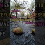 The Importance of Gratitude#Gratitude #Islam #Faith #Religion #Spirituality  #Mindfulness #Wellbeing