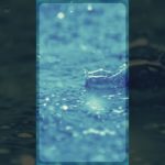 癒しの動画 ーダイエットー #bgm #ウェルビーイング #水しぶき