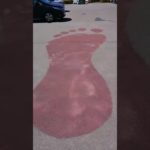 【大観音の足跡🐾】#スピリチュアル #神様 #神 #群馬県 #群馬 #コールダック #アヒル #メンフクロウ #フクロウ #owl #duck #散歩 #旅 #旅行 #癒し #神秘 #神社 #かわいい