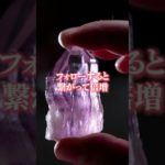 嬉しすぎる連絡がきます　#shorts #スピリチュアル #恋愛運 　