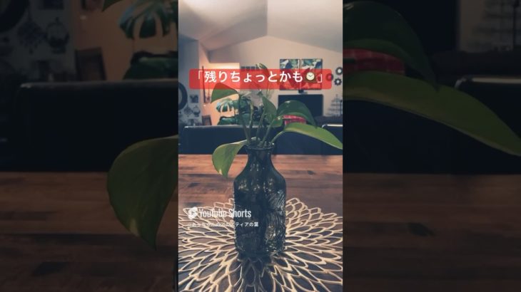 残りちょっとかも🕰️#shorts #アガスティアの葉 #ヒーリング #癒し #スピリチュアル