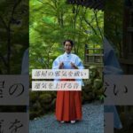 部屋の邪気を祓い運気を上げる音✨ #スピリチュアル#スピリチュアルメッセージ#スピリチュアルカウンセラー#浄化#波動#運気#邪気祓い