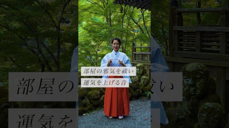 部屋の邪気を祓い運気を上げる音✨ #スピリチュアル#スピリチュアルメッセージ#スピリチュアルカウンセラー#浄化#波動#運気#邪気祓い