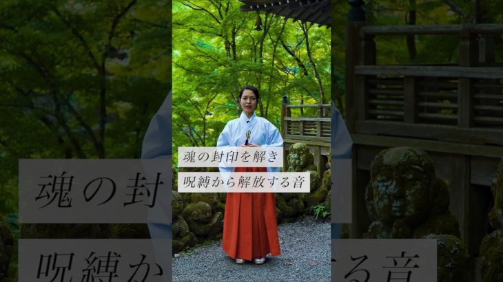 魂の封印を解き呪縛から解放する音✨ #スピリチュアル#スピリチュアルメッセージ#スピリチュアルカウンセラー#浄化#波動#運気#邪気祓い
