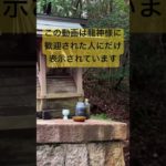 ✨この動画は龍神様に歓迎された人にだけ表示されています🐉 #運気上昇 #スピリチュアル #パワースポット #龍神様 #遠隔参拝