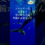 受け取る準備の法則【イルカのエーヴィンからのスピリチュアルメッセージ】