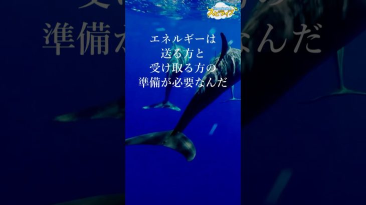 受け取る準備の法則【イルカのエーヴィンからのスピリチュアルメッセージ】