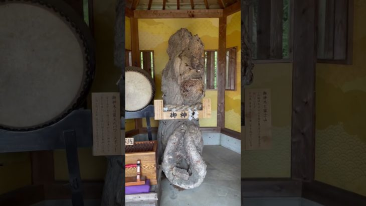 ⚠️秘境最強のパワースポット⚠️#パワースポット #神社 #スピリチュアル #開運スポット #運気 #金運 #秘境