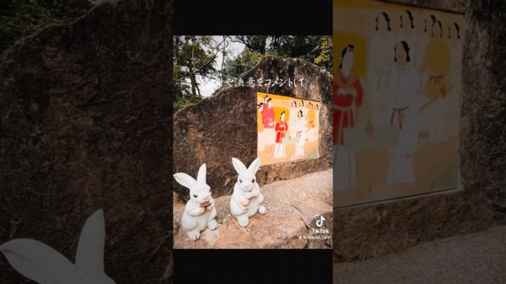 【出雲大社】あらゆる縁結ぶ国づくりの神 #スピリチュアル #パワースポット#神社参拝