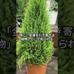 「金運を引き寄せるためのポジティブな環境」スピリチュアルワールド～引き寄せの法則 #恋愛 #スピリチュアル＃金運アップ＃招福万来＃開運財布＃ルーチン#アファーメーション＃ポジティブ