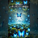 知らないと損するスピリチュアルの雑学