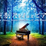 神秘的な森のピアノ音楽 | スピリチュアルサウンド