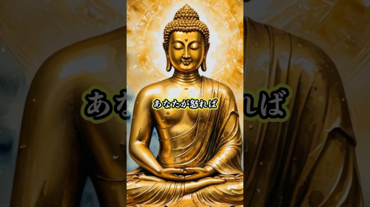 #ブッダ#自己啓発 #名言#人生感悟 #人生#モチベーション #哲学#スピリチュアル