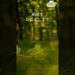 心を認める穏やかさ【キリストからのスピリチュアルメッセージ】