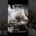 #スピリチュアル 　#猫　#ねこ　#ネコ