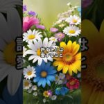 許すことは愛すること  #許す #愛すること　#セルフラブ　#怒り　#スピリチュアル