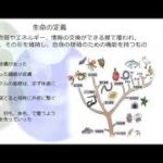 理事ドクター根津ようこ【皮膚から始まるウェルビーイング】vol.1ダイジェスト版