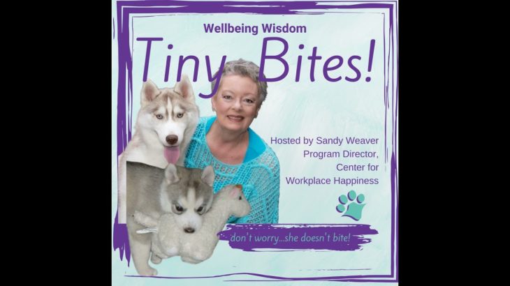 Let Your Calendar be Bossy – Wellbeing Wisdom Tiny Bites Podcast