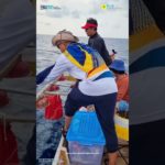 WELLBEING MANCING MANIA