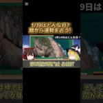 19日はどんな日？運勢は？暦の解説 #スピリチュアル #金運アップ #タロット占い #明日の暦 #開運 #星座占い #shorts