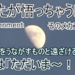 風花のように②スピリチュアルな活動は悟りを遠ざける？It’s something like “Mom, I’m home!”