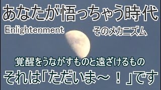 風花のように②スピリチュアルな活動は悟りを遠ざける？It’s something like “Mom, I’m home!”