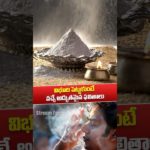 Vibhooti Holds the SECRET to Success and Well-being? | #facts #ytshorts #latest #amazingfacts