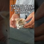 猫に学ぶ究極のリラックス法！  #豆知識 #雑学 #スピリチュアル #猫