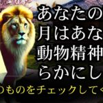あなたの誕生日月のスピリチュアルな動物を見つけてください – その啓示はあなたの口を開いたままにするでしょう