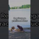 Yoga enhances physical strength, mental clarity, and inner peace, promoting overall well-being.