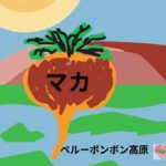 【人間百年】マカ　#shorts #健康 #長寿 #人間百年 #健康寿命 #ウェルビーイング #アンチエイジング #人生100年時代 #高齢化社会#滋養強壮