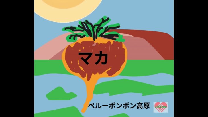 【人間百年】マカ　#shorts #健康 #長寿 #人間百年 #健康寿命 #ウェルビーイング #アンチエイジング #人生100年時代 #高齢化社会#滋養強壮