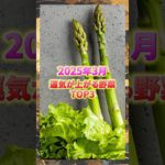 2025年3月運気が上がる野菜TOP3#shorts #開運 #スピリチュアル#2025年