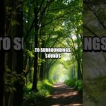 Creative Tips for Mental Well-Being in Daily Life