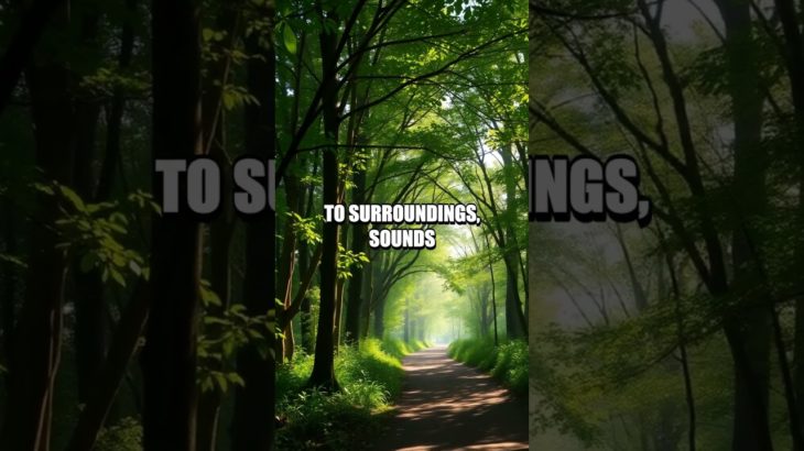 Creative Tips for Mental Well-Being in Daily Life