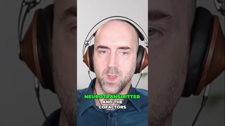 How to Use Simple Nutrients to HACK Your Neurotransmitters For Well-being