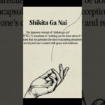 Shikita ga Nai – Japanese Concept for Well-being – جاپانی تصور برائے بہبود