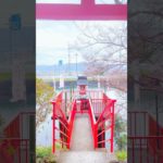 先日、参拝させていただきました。感謝 #ヒーラー #巫女 #スピリチュアル #龍女