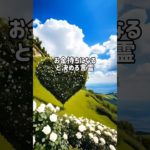 言霊　お金持ちになると決める言霊　#言霊 #開運 #スピリチュアル