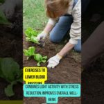 Gardening for overall wellbeing