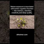 Grounded Minds Begin in Wild Places #nature #wellbeing #wellness #meditation #mentalhealth #reiki