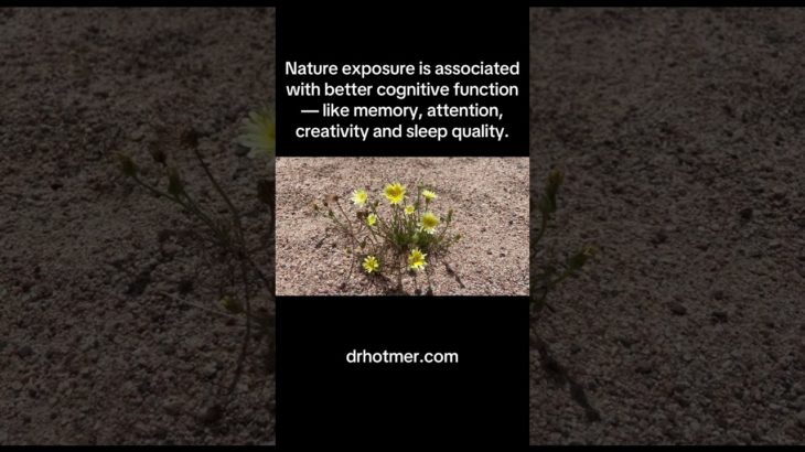 Grounded Minds Begin in Wild Places #nature #wellbeing #wellness #meditation #mentalhealth #reiki