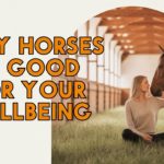 “How Horses Improve Your wellbeing & Happiness | Benefits of Horse Therapy”