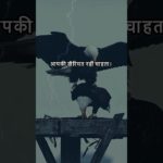 Not everyone wants your well being || Motivational Status || Eagle 🦅 #shorts #motivationalquotes