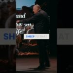 The Good Shepherd: Pursuing Our Well-Being Daily